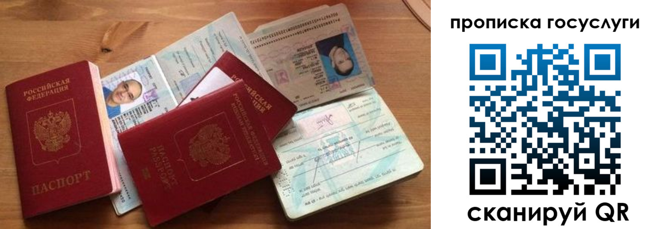 прописка гарантия в Брянской области